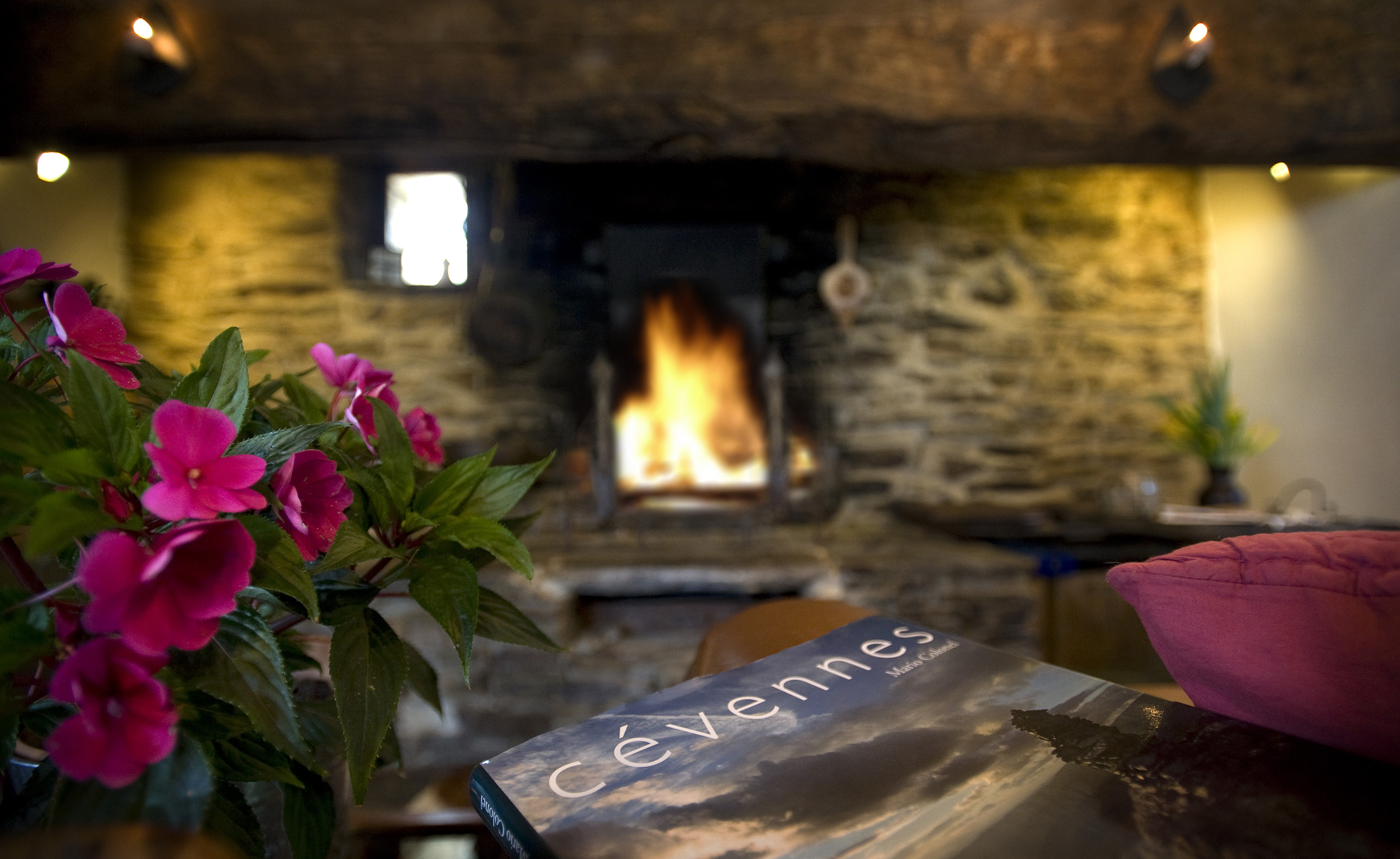 mas-coupetadou-cevennes