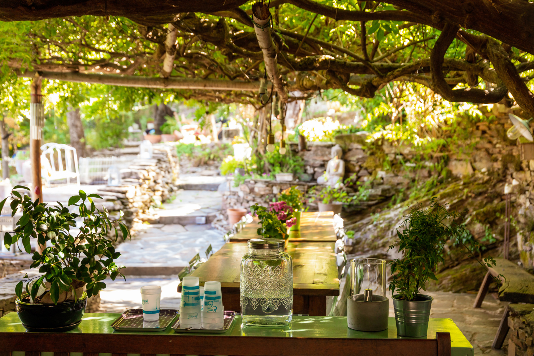 terrasse-ext-mas-coupetadou