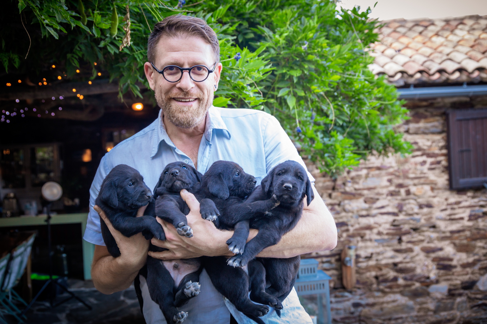 mas de coupetadou - vialas